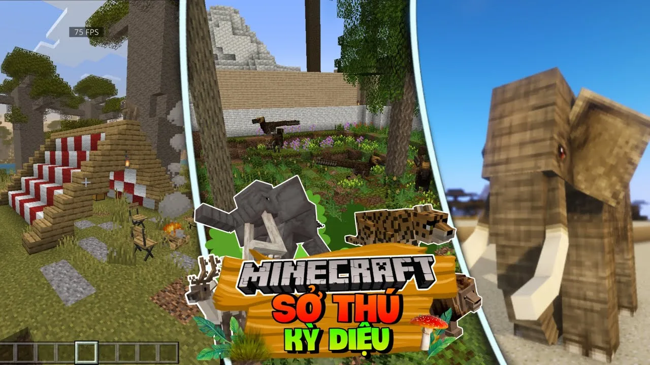 maxresdefault (10)