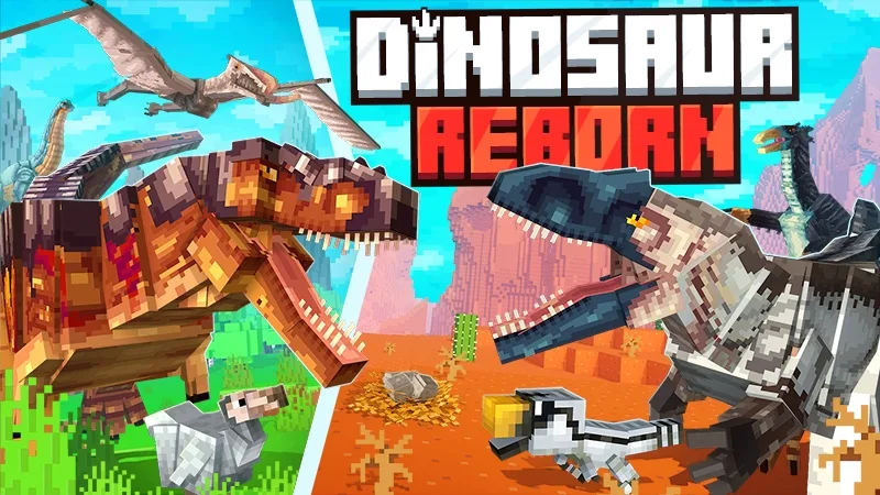 Ddsail_0